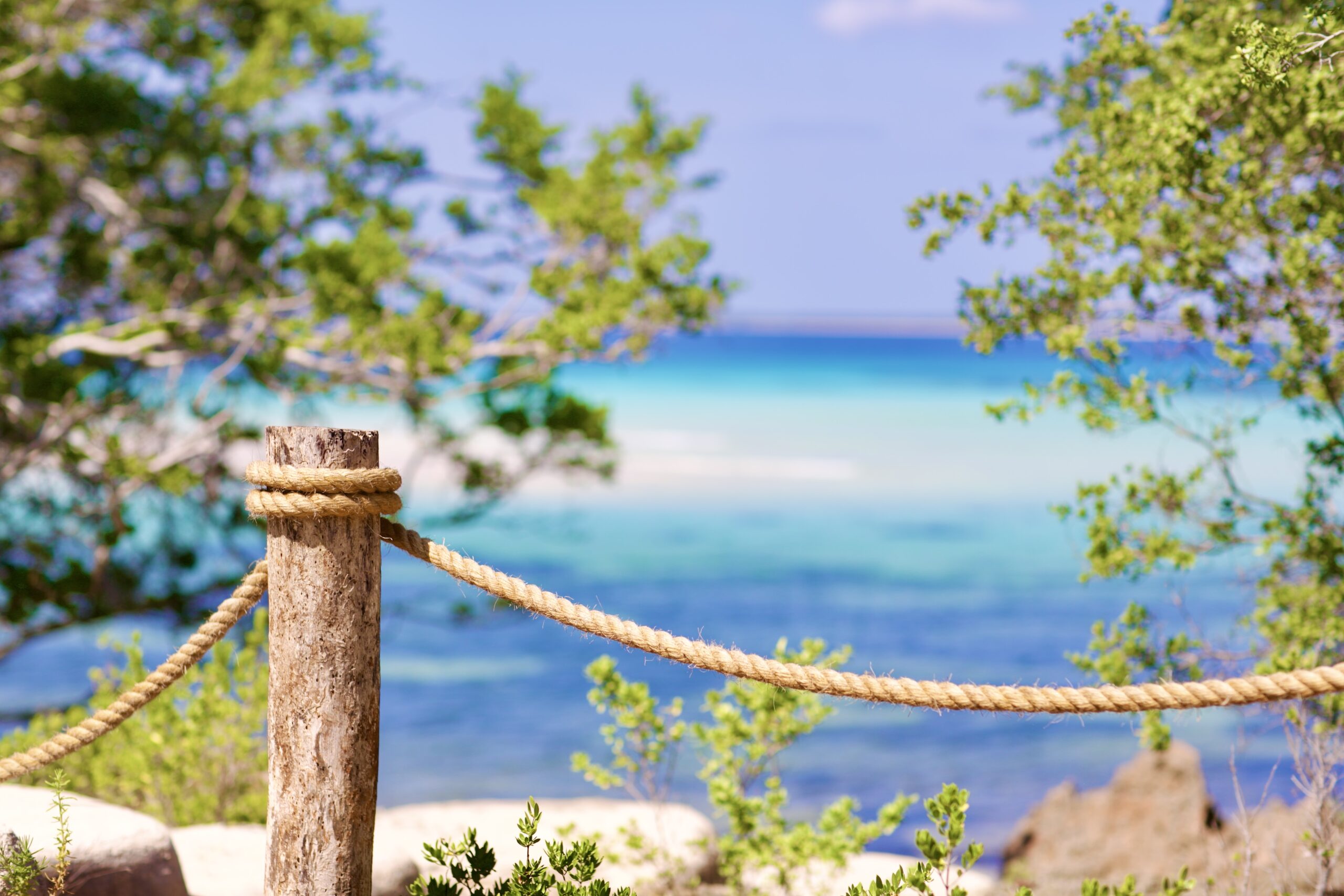 Wooden posts and rope over the sea at dusk