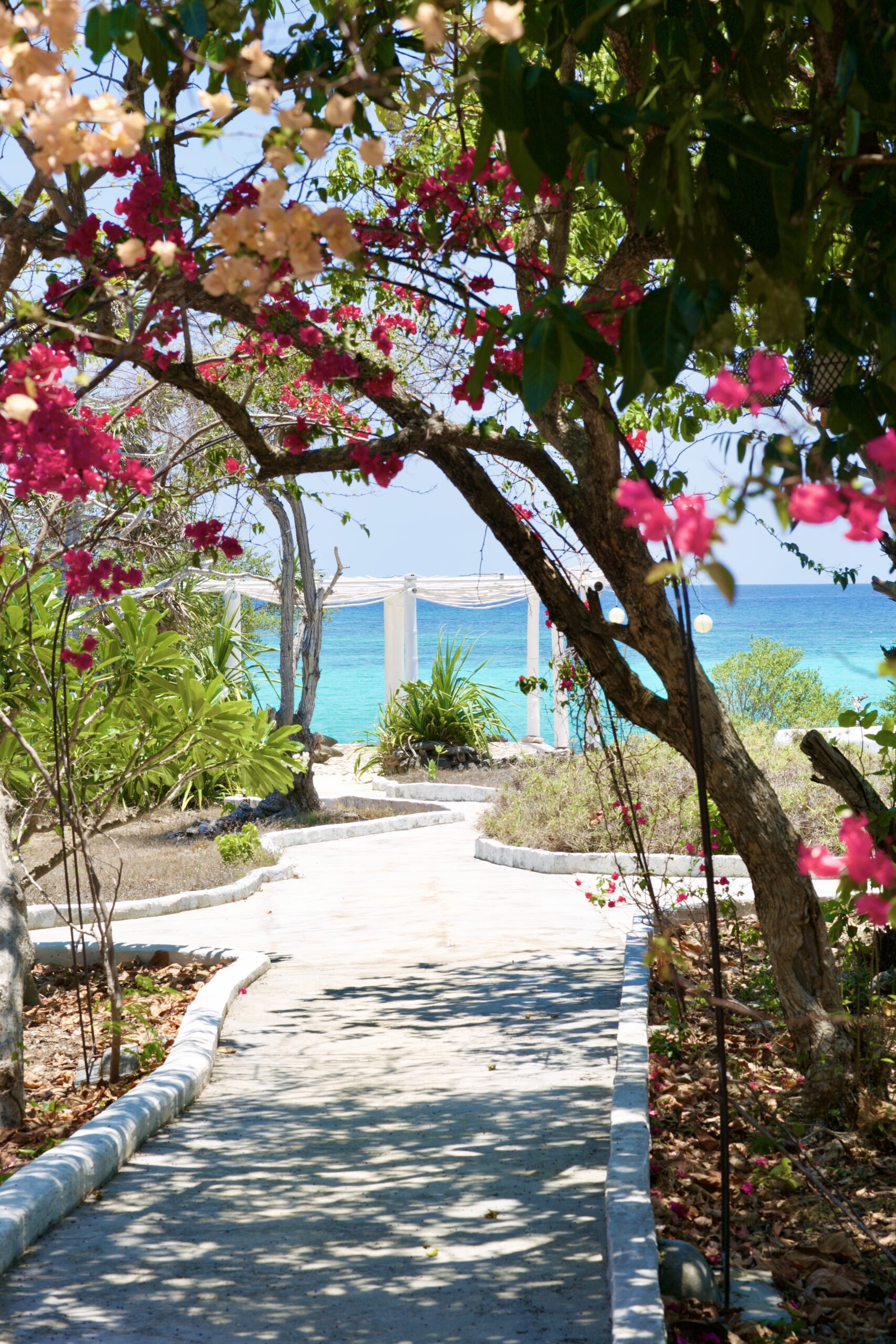 A bougainvillea-framed path to the beach