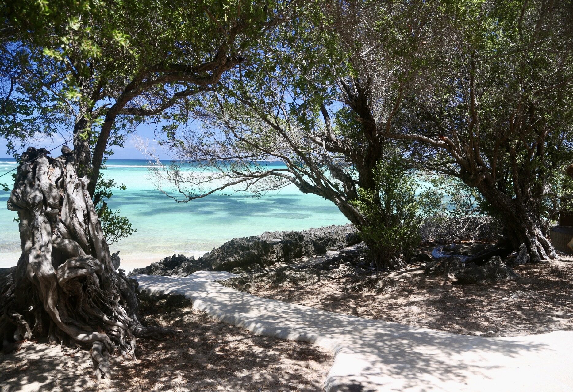 A white-sand beach lined with sculptural trees and turquoise water at Serai Inar